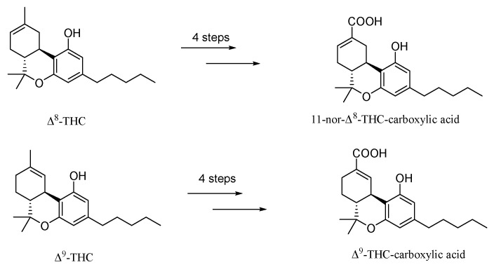 Syntheses of 11-nor-Δ8-THC-9-carboxylic acid and Δ9-THC-carboxylic acid with the same operations.