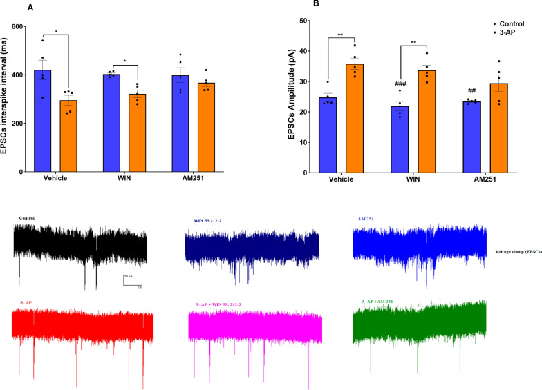 EPSPCs of Purkinje cells in slices exposed to CB1R agonist/antagonist in control and 3-AP treated slices. A EPSPCs interspike interval, B EPSCs amplitude is shown. n = 6 cells/group; one cell from each rat. The data are expressed as mean ± SEM. *(P < 0.05) and **(P < 0.01) represent significant differences with the same group with Vehicle (DMSO). #(P < 0.05) represents a significant difference versus 3-AP