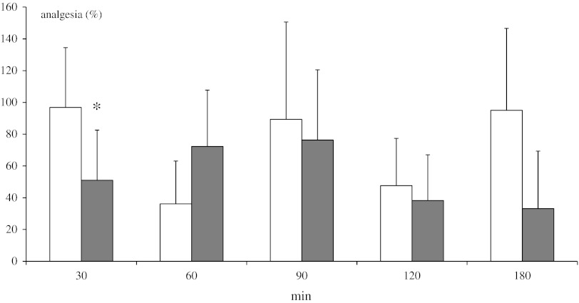Effect of neonatal DSP-4 lesioning (50 mg/kg sc on the 1st and 3rd days of postnatal life) on antinociception effects assessed in the paw-pressure test after methanandamide (10 mg/kg ip) treatment in rats (mean ± SEM; n = 8). Legend as in Fig. 3