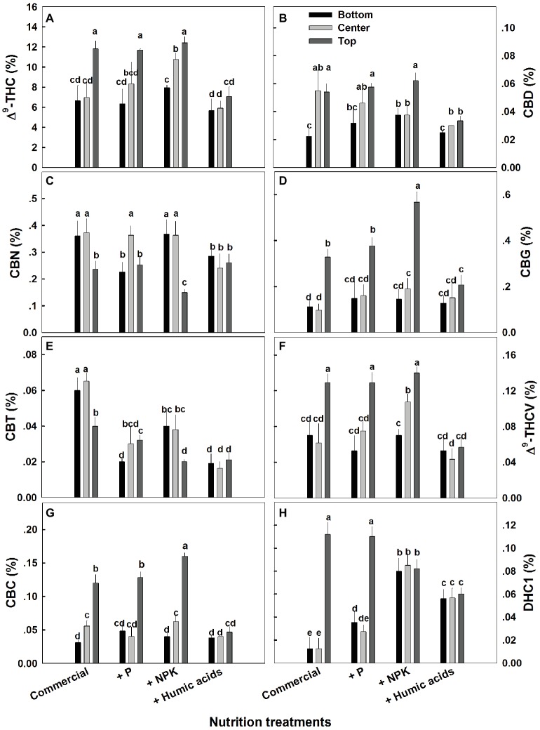 Effect of nutrition supplements on spatial distribution of cannabinoids in the flowers along the cannabis plants. Δ9-THC (A), CBD (B), CBN (C), CBG (D), CBC (E), Δ9-THCV (F), CBT (G), CBL (H). Inflorescences from the top, center, and bottom of the plant were analyzed. Presented data are averages ± SE (n = 6). Different letters above the bars represent significant differences between treatments by Tukey’s HSD test at α = 0.05.