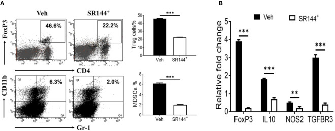 THC promotes the generation of Tregs and MDSCs through CB2 receptor activation. Spleen cells were cultured with SEB + THC in the presence of vehicle or CB2 antagonist, SR-144. (A) shows in vitro generation of Tregs and MDSCs in the presence of vehicle or CB2 antagonist (SR144). Vertical bars show data from four mice with Mean ± SEM. (B) Expression of genes (FoxP3, IL-10, NOS2, TGF-βR3) using RT-PCR in SEB + THC-activated splenocytes cultured in the presence of vehicle or CB2 antagonist (SR144). Statistical significances are depicted as **p < 0.01, ***p < 0.001 between the groups.