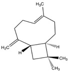 brainsci-11-01573-i005.jpg