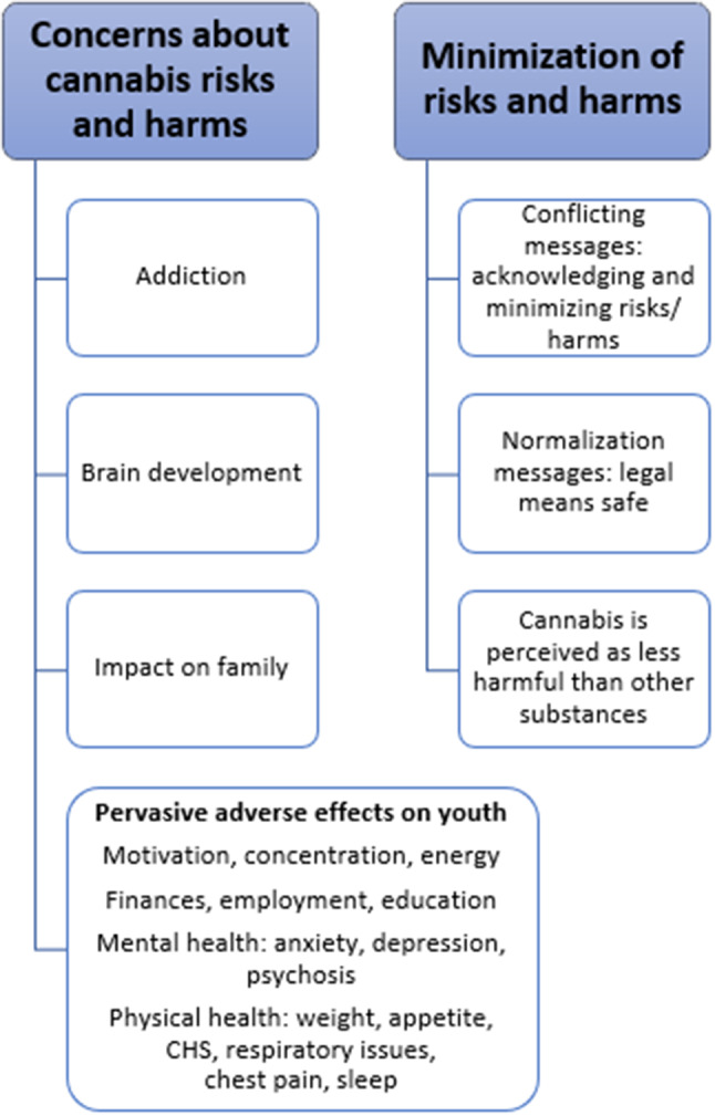 Themes and subthemes about perceived risks or harms of cannabis use