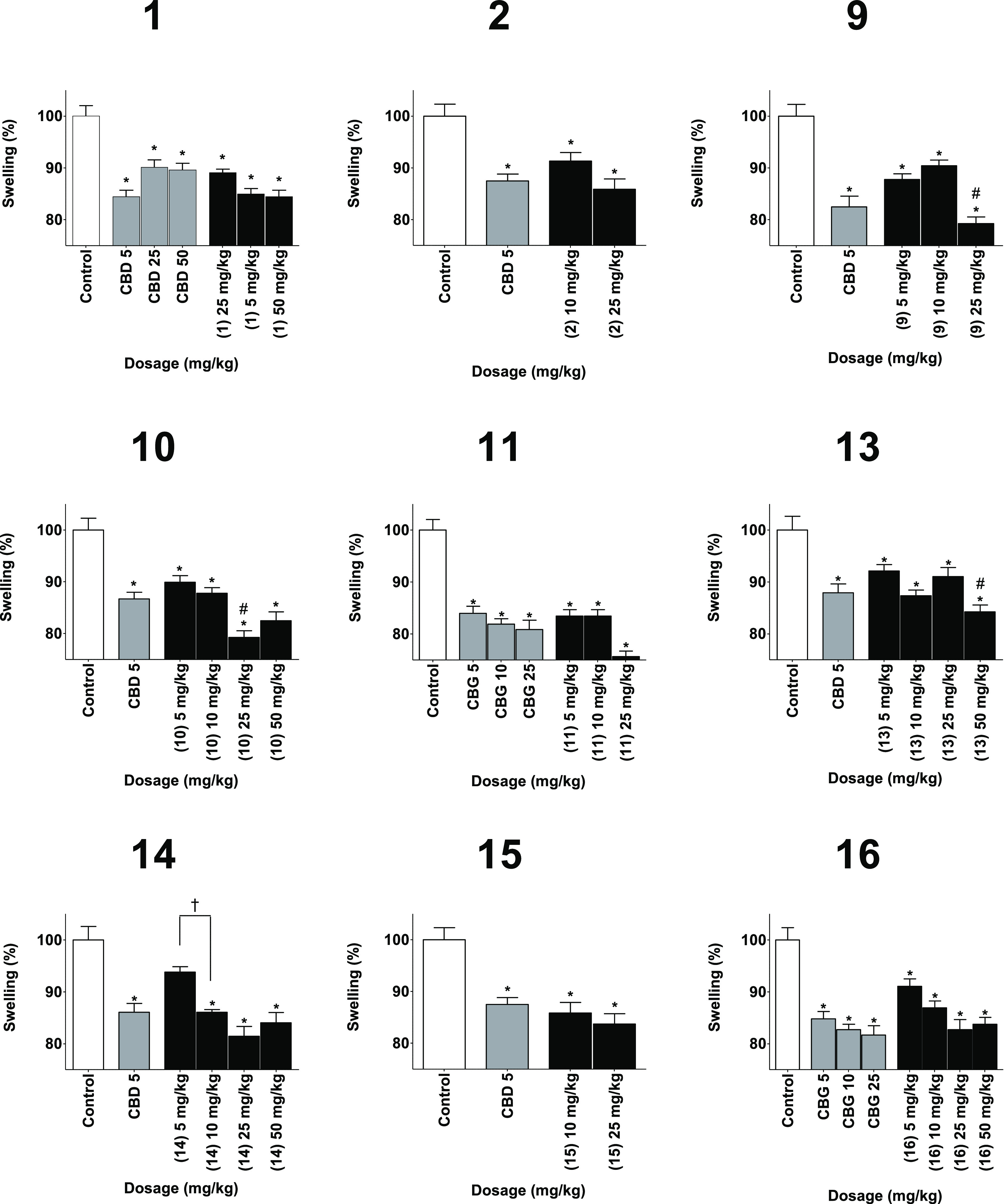 Reducing swelling capabilities of the phytocannabinoids (black) compared to the vehicle as a negative control (white) and the appropriate phytocannabinoids as the positive control (gray). Measurements were done 6 h after injection. Results are presented as column + SEM. Swelling reduction is presented as a percentage compared to the control group. Statistical comparison by one-way analysis of variance (ANOVA) (P-value < 0.0001) and post hoc analysis by Tukey’s test. * P-value < 0.05 compared to control. # P-value < 0.05 compared to the positive control. † P-value < 0.05 in the presented comparison.