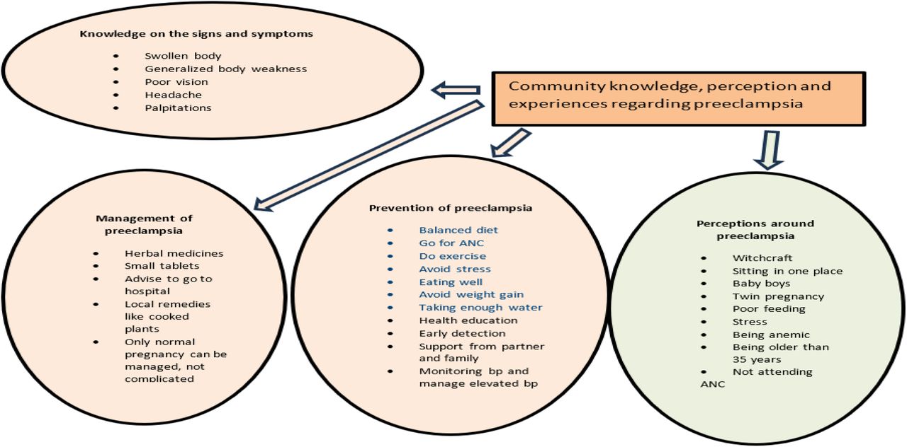 Themes identified from the transcripts.