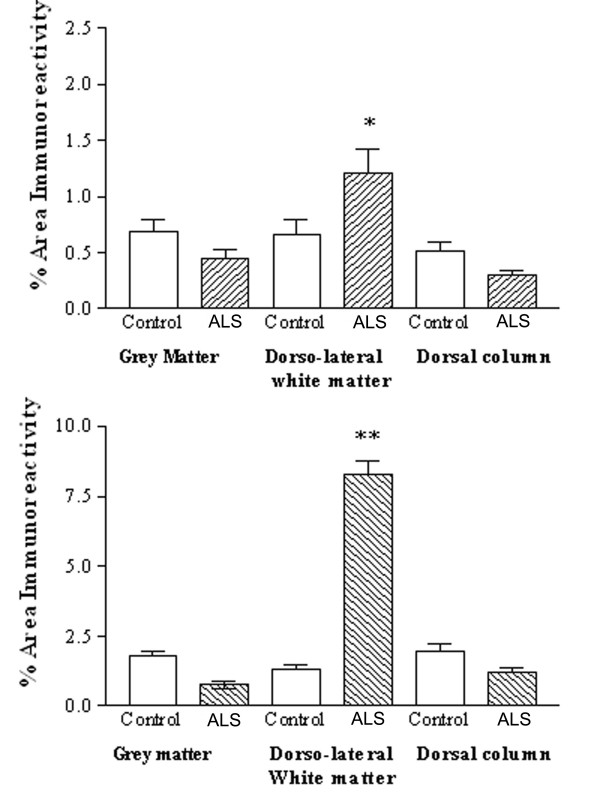 COX-2 is increased in the dorsolateral white matter of ALS spinal cord. Top, Mean % area of COX-2 immunoreactivity in spinal cord (open box, control, shaded ALS) and bottom, Mean % area of CD68 immunoreactivity in spinal cord. Mean ± SEM * P = 0.0012, ** P = 0.0047.
