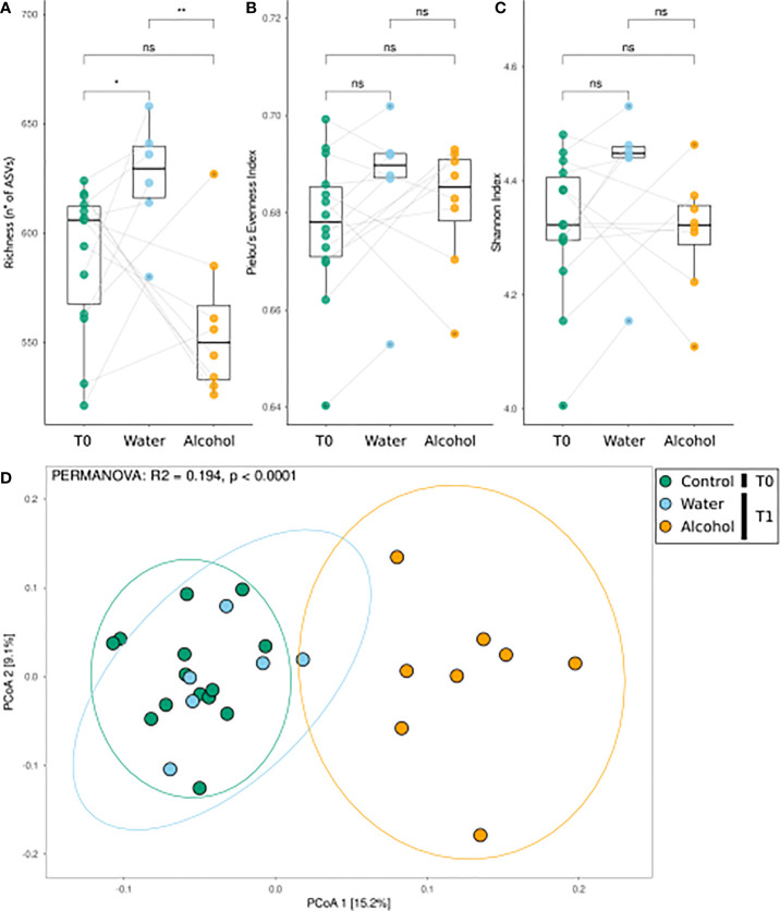 Bacterial community response to alcohol binge drinking. Analyses were performed on the non-OEA-treated sample subset, including the T1 alcohol- and water-administered rats, and the corresponding T0 samples. (A) Richness [number of different amplicon sequence variances (ASVs)], (B) Pielou’s evenness index (equitability of the distribution of relative abundances among ASVs), and (C) Shannon index (diversity of the community) as measures of α-diversity. Differences between groups were tested by the Wilcoxon rank-sum test and reported as notation on the plot (ns, p-value > 0.05; *p-value < 0.05; **p-value < 0.01). Dotted lines connect the data from the same animal at the two time points for each treatment. (D) β-Diversity analysis with PCoA ordination using the Bray–Curtis distance measure. T0 group, n = 14; water group, n = 6; alcohol group, n = 8. Notation above the plots reports the result of the PERMANOVA test.
