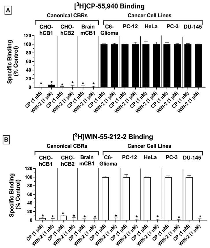 Competitive receptor binding: CBRs expressed in a variety of cancer cell types exhibit atypical binding properties relative to canonical CBRs. Competitive binding screens were conducted by using the well-characterized non-selective CB1/CB2 radioligands [3H]CP-55,940 (0.2 nM) (A) or [3H]WIN-55,212-2 (1 nM) (B). Bars represent the amount of radioactivity remaining when radioligands were co-incubated with a high, receptor-saturating concentration (1 μM) of non-radioactive CP-55,940 (left bars) or a second non-selective CBR ligand WIN-55,212-2 (right bars) in all cell lines/tissues. The cell lines/tissues screened were CHO-hCB1 (expressing canonical human CB1Rs), CHO-hCB2 (expressing canonical human CB2Rs), mouse brain (expressing canonical mouse CB1Rs), and cancer cell lines C6-glioma (mouse glioma), PC-12 (rat pheochromocytoma), HeLa (human cervical carcinoma), PC-3 (human prostate cancer), and DU-145 (human prostate cancer). In cells expressing canonical CBRs, specific binding could be observed by using both radioligands, displaced by both non-radioactive cannabinoids. In marked contrast, specific binding in cancer cells could only be observed when using [3H]WIN-55,212-2, which could only be displaced by non-radioactive WIN-55,212-2 but not CP-55,940. Bars represents the means ± SEM of data collected from a minimum of three experiments. Significantly different from 100% (one-sample t-test, * p < 0.05).