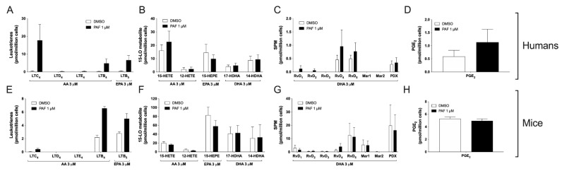 Impact of PAF on eicosanoid and docosanoid biosynthesis by human and mouse eosinophils. EOS suspensions (5 × 106 cells/mL, 37 °C) were stimulated 15 min with 1 μM PAF and 3 μM of AA, EPA or DHA. Incubations were stopped by adding 1 volume of cold (−20 °C) of MeOH containing the internal standards. Lipids were extracted and quantified by LC-MS/MS as described in Materials and Methods. (A–D) Results are the mean (±SEM) of 5 independent experiments using human eosinophils from asthmatic donors. (E–H) Results are the mean (±SEM) of 7 independent experiments using bone marrow-derived mouse eosinophils.