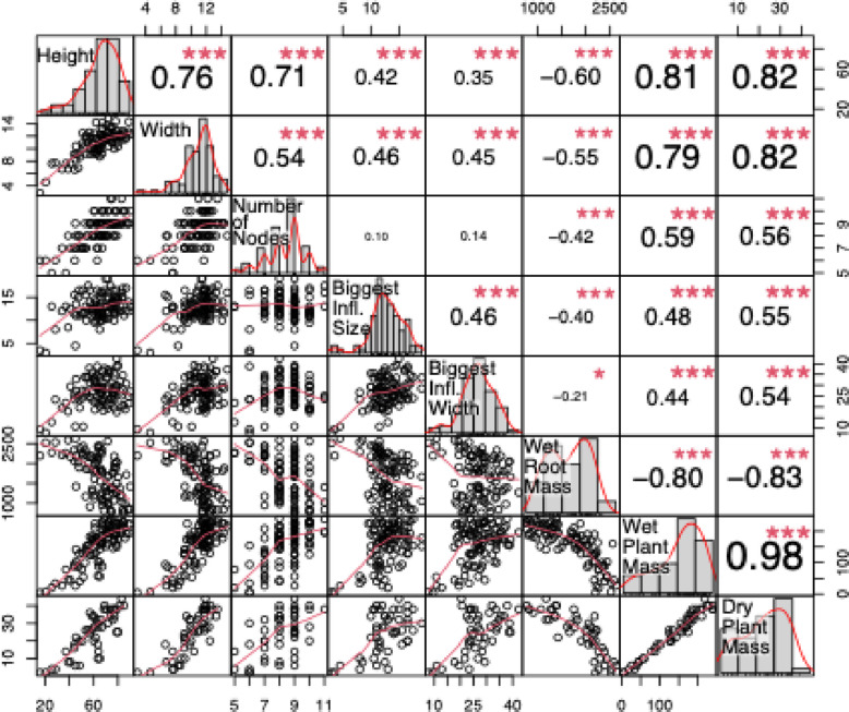 Pairwise relationships among eight harvest-stage traits measured in autoflower plants. Each diagonal panel shows the distribution of an individual trait using a histogram overlaid with a density curve. The panels below the diagonal display bivariate scatterplots with a fitted smoothing line to illustrate the form of each relationship. The panels above the diagonal report the Pearson correlation coefficients together with their significance levels. Significance is represented by symbols: *** (p ≤ 0.001), ** (p ≤ 0.01), * (p ≤ 0.05),.(p ≤ 0.1), and a blank space for nonsignificant values (p > 0.1). Together, the matrix summarizes the strength, direction, and statistical support of associations among all measured traits