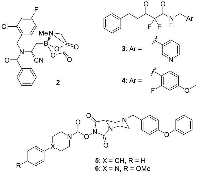 ABHD3 inhibitors.