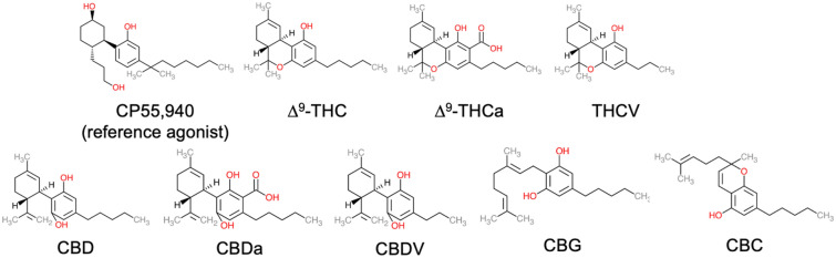 Cannabinoids assessed in this study. Chemical structures were drawn in Microsoft PowerPoint by the authors.