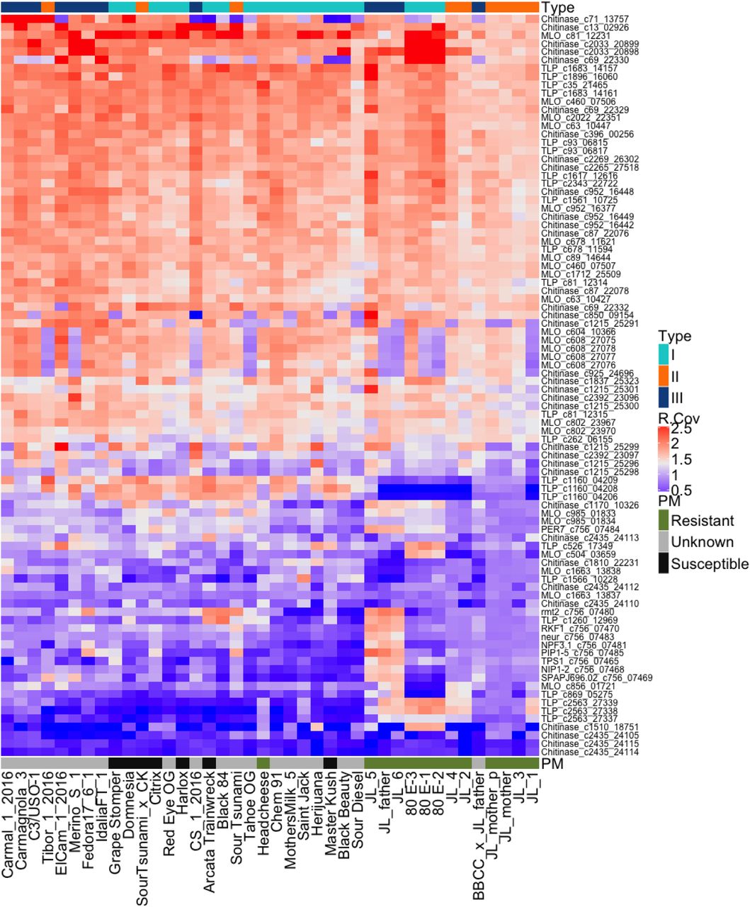 23 TLPs, 24 MLOs, 35 chitinase genes, pathogen response genes on the CBCA deletion, and their copy number variation across 40 cultivars. X-axis contains sample names and has two independent labels. The top label is Type I, II, and III classification. The bottom label is the reported powdery mildew-resistance status of each cultivar. MLO deletions likely increase resistance, while TLPs and chitinase deletions likely lower PM resistance.
