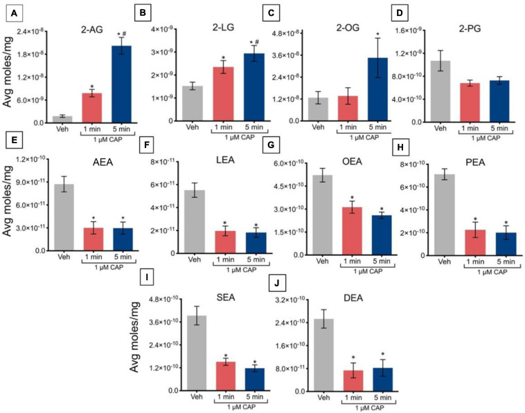 Changes in lipid levels of 2-acyl glycerols (A–D) and N-acyl ethanolamines (E–J) after TRPV1-HEK293 cells incubated in 1 μM capsaicin (CAP) for 1 min or 5 min. Significant changes in lipid levels when comparing capsaicin-induced changes after 1 min or 5 min to vehicle is indicated by * (p ≤ 0.05). Significant changes in lipid levels when comparing capsaicin-induced changes after 1 min of incubation vs. 5 min of incubation is indicated by # (p ≤ 0.05). Data were averaged over 8 total data points per condition (n = 2 individual experiments) and presented as average moles/mg (y-axis).