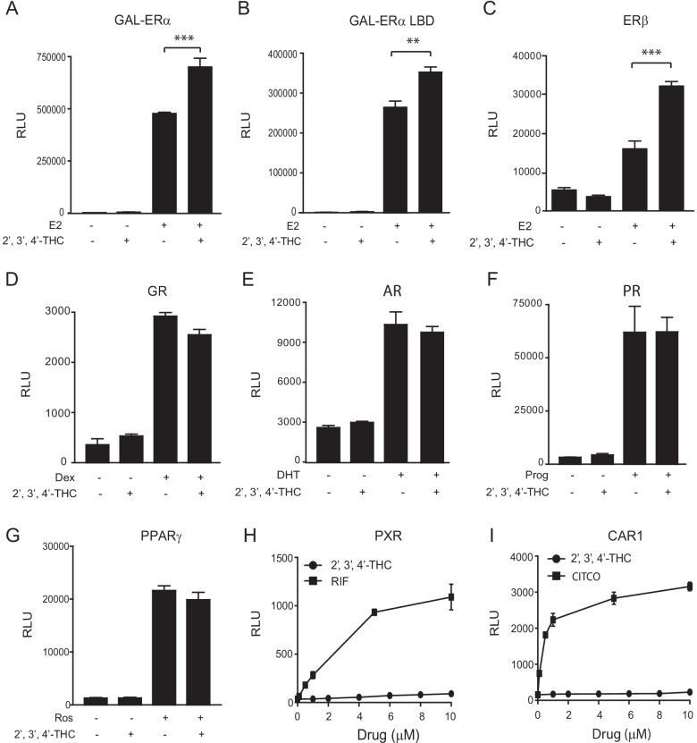 The synergistic effect of 2′,3′,4′-THC is selective for ERs. A U2OS cells cotransfected with GAL-TK-Luc and an expression vector for GAL4-DBD-full-length ERα were treated with 10 nM E2 and 5 μM 2′,3′,4′-THC alone or in combination for 24 h. B U2OS cells cotransfected with GAL-TK-Luc and an expression vector for GAL4-DBD-ERα LBD were treated with 10 nM E2 and 5 μM 2′,3′,4′-THC alone or in combination for 24 h. C U2OS cells cotransfected with ERE-TK-Luc and an expression vector for ERβ were treated with 10 nM E2 and 5 μM 2′,3′,4′-THC alone or in combination for 24 h. D U2OS cells cotransfected with GRE-TK-Luc and human GR were treated with 10 nM dexamethasone (Dex) and 5 μM 2′,3′,4′-THC alone or in combination for 24 h. E U2OS cells cotransfected with human tyrosine aminotransferase 3 (TAT3)-Luc reporter gene and human AR were treated with 10 nM dihydrotestosterone (DHT) and 5 μM 2′,3′,4′-THC alone or in combination for 24 h. F U2OS cells cotransfected with TAT3-Luc and human PR-B were treated with 10 nM progesterone (Prog) and 5 μM 2′,3′,4′-THC alone or in combination for 24 h. G U2OS cells cotransfected with PPAR-RE-Luc and human PPARγ were treated with 10 μM rosiglitazone (Ros) and 5 μM 2′,3′,4′-THC alone or in combination for 24 h. Luciferase activity was measured in cellular lysates with a luminometer. RLU is relative light units. The data shown are mean of triplicate samples ± SE. H, I 2′,3′,4′-THC does not alter PXR and CAR1 activity. H PXR and I CAR1 activity was assayed with Puracyp’s trademark stable reporter cell lines. RIF, Rifampicin is a PXR agonist. CITCO, 6-(4-Chlorophenyl)imidazo[2,1-b][1,3]thiazole-5-carbaldehyde O-(3,4-dichlorobenzyl)oxime is a CAR agonist
