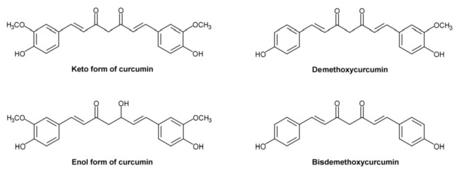 Structural formulas of ketocurcumin, enolcurcumin, demethoxycurcumin, and bisdemethoxycurcumin.