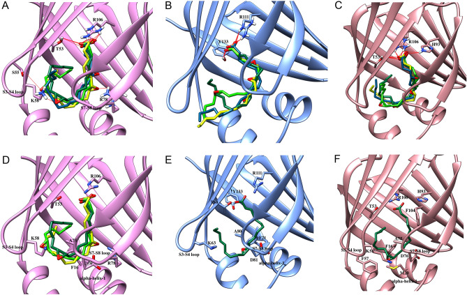 Docking of EETs in FABP3, FABP5, and FABP7. Docking poses of 5,6-EET (blue), 8,9-EET (yellow), 11,12-EET (dark green), and 14,15-EET (light green) at the binding site of (A, D) FABP3, (B, E) FABP5, and (C, F) FABP7. (A–C) Carboxylate moieties of EETs make canonical interactions with (A) T53 and R106 in FABP3, (B) R111 and Y133 in FABP5, and (C) T53, H93, and R106in FABP7. The epoxide groups engage in H-bonding with residues lining the binding pocket of (A) FABP3 to increase binding affinity. (D–F) Van der Waals interactions of EETs with FABPs. The orientation of (D) 8,9-EET, 11,12-EET, and 14,15-EET in FABP3, (E) 11,12-EET in FABP5, and (F) 11,12-EET in FABP7 promotes favorable van der Waals interactions to stabilize the ligands in the binding pocket.