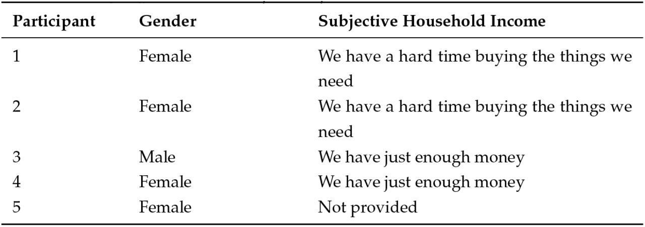 Characteristics of Nigerian Focus Group Participants (N = 5)