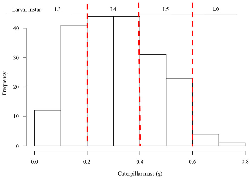 Distribution of collected CEW larvae according to their body mass and categorization of larval instar. Red dashed lines indicate approximate boundaries between instars.