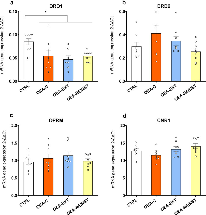 RT-PCR Gene expression in the hippocampus (n = 8/condition). a Dopamine receptor D1 gene―DrD1, b Dopamine receptor D2 gene―DrD2, c Opioid receptor µ―Oprm1. d Cannabinoid receptor 1―CNR1. The columns represent means and the vertical lines ± S.E.M of relative (2-ΔΔCt method) gene expression in the striatum of OF1 mice. * p < 0.05 significant differences with respect to the CTRL group