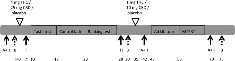 Schematic overview of a test session. A, appetite questionnaire; H, feeling high (Visual Analogue Scale); B, blood sample; MTPRT, Macronutrient and Taste Preference Ranking Task; T, time; THC, Δ9-tetrahydrocannabinol; CBD, cannabidiol.