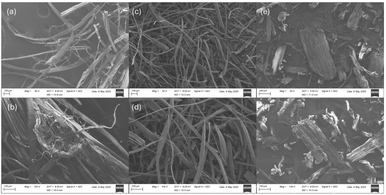 Scanning electron micrographs of (a) HF at 50×, (b) HF at 100×, (c) CHF at 50×, (d) CHF at 100×, (e) WF at 50×, and (f) WF at 100× magnifications.