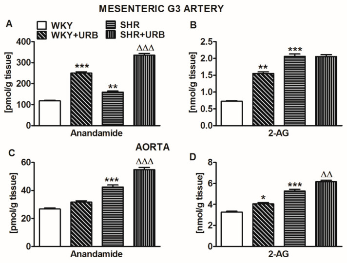 Concentrations of anandamide (A,C) and 2-arachidonoylglycerol (2-AG; B,D) in the mesenteric G3 arteries (A,B) and aortas (C,D) of normotensive rats—control (WKY) and URB597-treated (WKY + URB)—or hypertensive rats—SHR and URB597-treated (SHR + URB). URB597 at 1 mg/kg or its vehicle was injected intraperitoneally every 12 h for 14 days. Data are presented as mean ± SEM (n = 6 per group); * p < 0.05, **,∆∆ p < 0.01, and ***,∆∆∆ p < 0.001 compared to the respective control groups (* WKY or ∆ SHR).