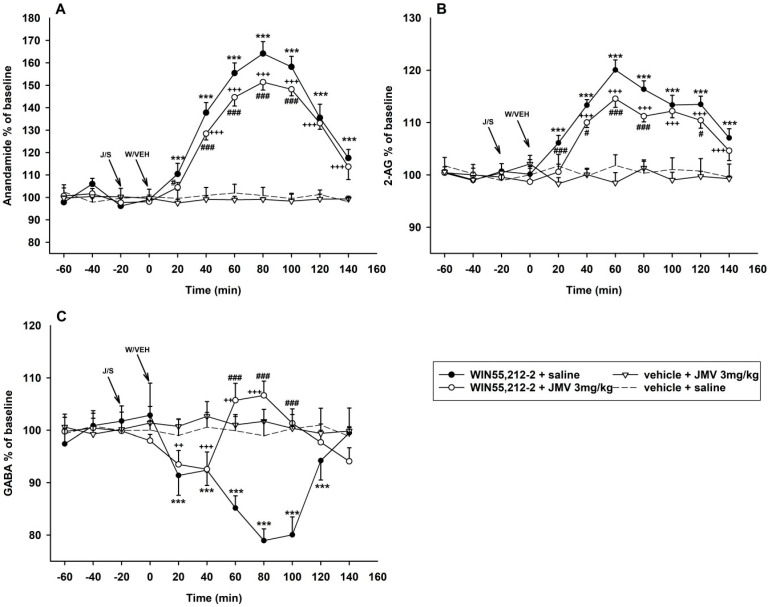 Effects of GHS-R1A antagonist (JMV2959) on WIN55,212-2-induced endocannabinoid and gamma-aminobutyric acid (GABA) extracellular changes in the rat NACSh. The JMV2959 3 mg/kg was injected i.p. 20 min before 2.4 mM/0.5 µL WIN55,212-2 or vehicle 0.5 µL administered into the posterior VTA injection (n = 6; means ± SEM). Changes in accumbens anandamide/N-arachidonoylethanolamine (AEA) levels are illustrated in graph (A), changes in 2-AG levels in the graph (B) and GABA changes are shown in graph (C). The effects are illustrated as follows: saline + WIN55,212-2 (filled circle; n = 7), 3 mg/kg JMV2959 + WIN55,212-2 (open circle; n = 6), 3 mg/kg JMV2959 + vehicle (open triangle; n = 4) and saline + vehicle (dotting; n = 7). Differences between saline + WIN55,212-2 and saline + vehicle groups are expressed as *** p < 0.001. Differences between JMV2959 + WIN55,212-2 and saline + vehicle groups are expressed as +++ p < 0.001, ++ p < 0.01. Differences between groups saline + WIN55,212-2 and 3 mg/kg JMV2959 + WIN55,212-2 are expressed as ### p < 0.001, # p < 0.05.