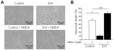 Ethanol withdrawal increases by 40% the sensitivity of neurons to excitotoxic injuries induced by NMDA (10 µM, 24 h) in cultured cortical neurons.(A) Phase-contrast photomicrographs show representative fields in the indicated conditions (Control, neurons not exposed to ethanol; EW, ethanol-withdrawn neurons). (B) Quantification of neuronal death. Values are means ± SEM (n = 17–20 wells/condition; N = 5 plates). Data were assessed by ANOVA test followed by Fisher's PLSD test (* P<0.05; *** P<0.001).