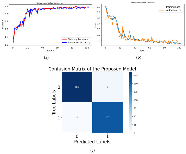 Performance evaluation of the proposed model using the MLP classifier. (a) Training and validation accuracy curve showing the model’s learning progression over epochs. (b) Training and validation loss curve indicating convergence behavior. (c) Confusion matrix illustrating classification results, where label 0 represents healthy coffee berries, and label 1 denotes diseased coffee berries.
