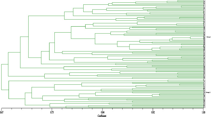 Dendrogram generated by UPGMA cluster analysis of 115 genotypes of Cannabis based on 14 polymorphic genic InDel markers