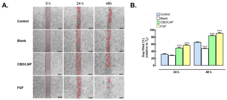Effects of cannabidiol-loaded lipid nanoparticles (CBD/LNPs) on wound healing in fibroblast-cultured cells. (A) Human dermal fibroblast cells were treated with 50 ppm CBD/LNPs or 100 ng/mL FGF (positive control). A scratch wound assay was monitored at 0, 24, and 48 h post-scratch and compared to untreated control cells. (B) Percentage of wound gap closure at 24 and 48 h, calculated relative to the initial scratch width (T0). Data are expressed as mean ± SEM (n = 3). *** p < 0.001 compared to the control group.