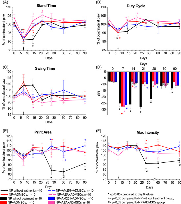 Impact of pharmacological modulation of CB1 receptors of the area of sciatic nerve injury on gait parameters (A–F) in rats with neuropathic pain. The arrow indicates the time of transplantation of ADMSCs. Data were compared by repeated measures ANOVA with post hoc comparisons using the lowest significant differences method. [Color figure can be viewed at wileyonlinelibrary.com]