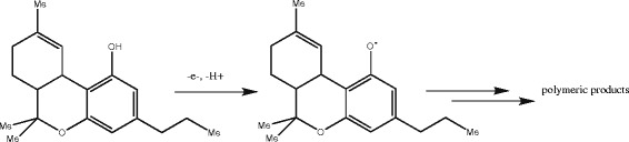 The oxidation of Δ9-tetrahydrocannabinol (THC). THC has been assumed to behave as a typical phenol [17, 25, 26]