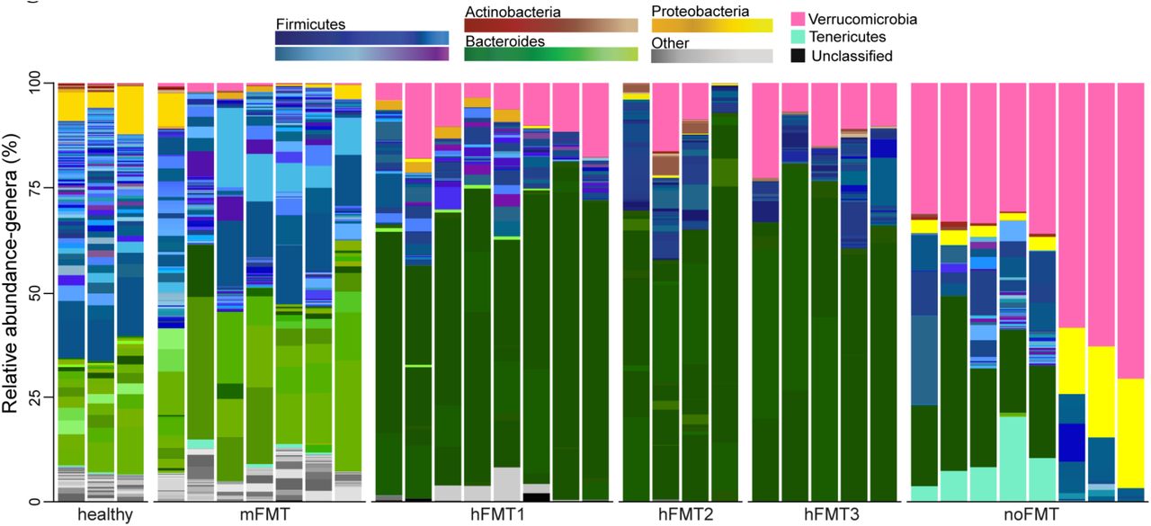 Relative abundance of individual mice.Relative abundance of genera identified by MetaPhlAn4 from cecal samples of mice. Each bar represents an individual mouse.