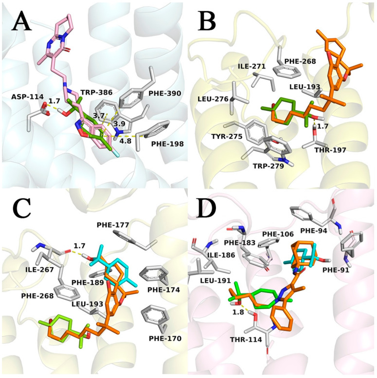 Highest score-predicted binding modes for terpineol against receptors D2, CB1, and CB2. (A) Terpineol (green) on the binding pocket of the D2 receptor (blue cartoon). Crystallographic ligand risperidone showed in pink. (B) Terpineol (green) on the binding pocket of cannabinoid receptor CB1 (yellow cartoon). Crystallographic ligand AM11542 shown in orange. (C) Highest score-predicted binding mode for the second molecule of terpineol (blue) on the binding pocket of cannabinoid receptor CB1 (yellow cartoon). Previously docked terpineol is shown in green and crystallographic ligand AM11542 in orange. (D) Highest score-predicted binding mode for first (green) and second (cyan) terpineol in the CB2 receptor binding pocket (pink cartoon). Crystallographic ligand AM10257 is shown in orange for comparison. Hydrogen bond and π-stacking contacts are displayed as yellow dashes and distances (between hydrogen and the hydrogen bond acceptor) are shown in angstroms. Selected residues of the active site are highlighted as white sticks.