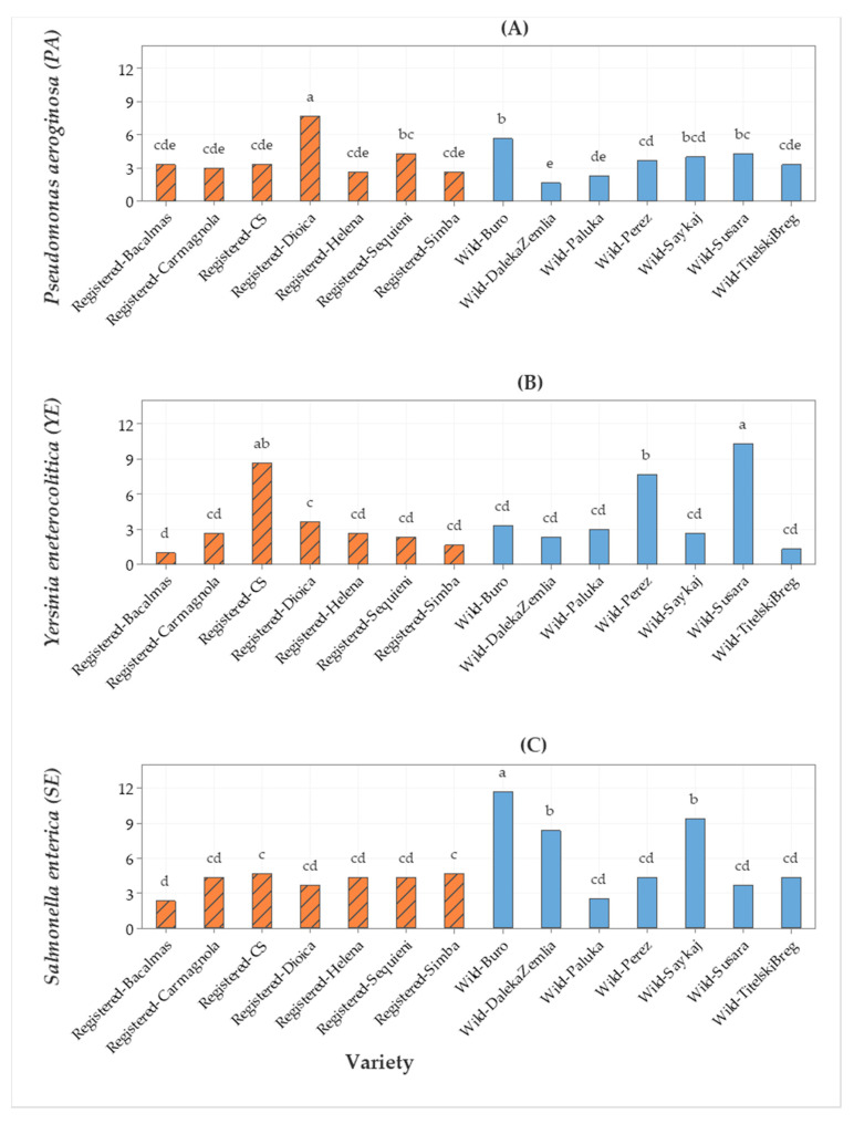 Bar graph of (A) Pseudomonas aeruginosa (PA), (B) Yersinia enterocolitica (YE), and (C) Salmonella enterica subsp. enterica (SE) (cefoxitin) antimicrobial activities (inhibition zone in mm) from seven registered cultivars and seven wild accessions. The means represented by the bars sharing the same letter are not significantly different.