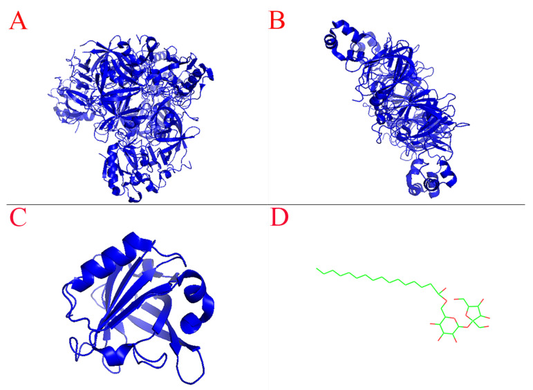 Chemical structure of 7S globulin, 11S globulin, β-lactoglobulin and sucrose ester. ((A), 7S globulin; (B), 11S globulin; (C), β-lactoglobulin; (D), sucrose ester) The chemical structures of 7S globulin (ID: 3AUP), 11S globulin (ID: 1OD5) and BLG (ID: 5IO5) were obtained from the PDB database, and the structures of SE (ID: 20003730) obtained from chemspider were visualized in PyMOL software.