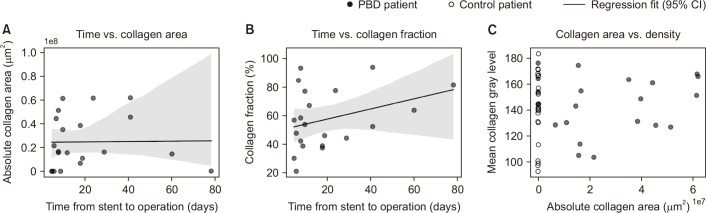Composite analysis of collagen dynamics. (A) Relationship between stent dwell time and absolute pericholedochal collagen area in patients with preoperative biliary drainage (PBD). No correlation was observed (Pearson r = 0.01, p = 0.95). (B) Relationship between stent dwell time and collagen fraction (collagen area expressed as a percentage of common bile duct cross-sectional area), indicating a weak, non-significant positive correlation (r = 0.34, p = 0.14). (C) Scatterplot of collagen quantity (absolute area) versus density (mean collagen gray level) in PBD (filled circles) and control (open circles) patients. PBD cases cluster at significantly higher collagen areas while maintaining similar mean density, whereas controls cluster at low collagen levels. Regression lines with 95% confidence bands apply to (A) and (B) only. CI, confidence interval.