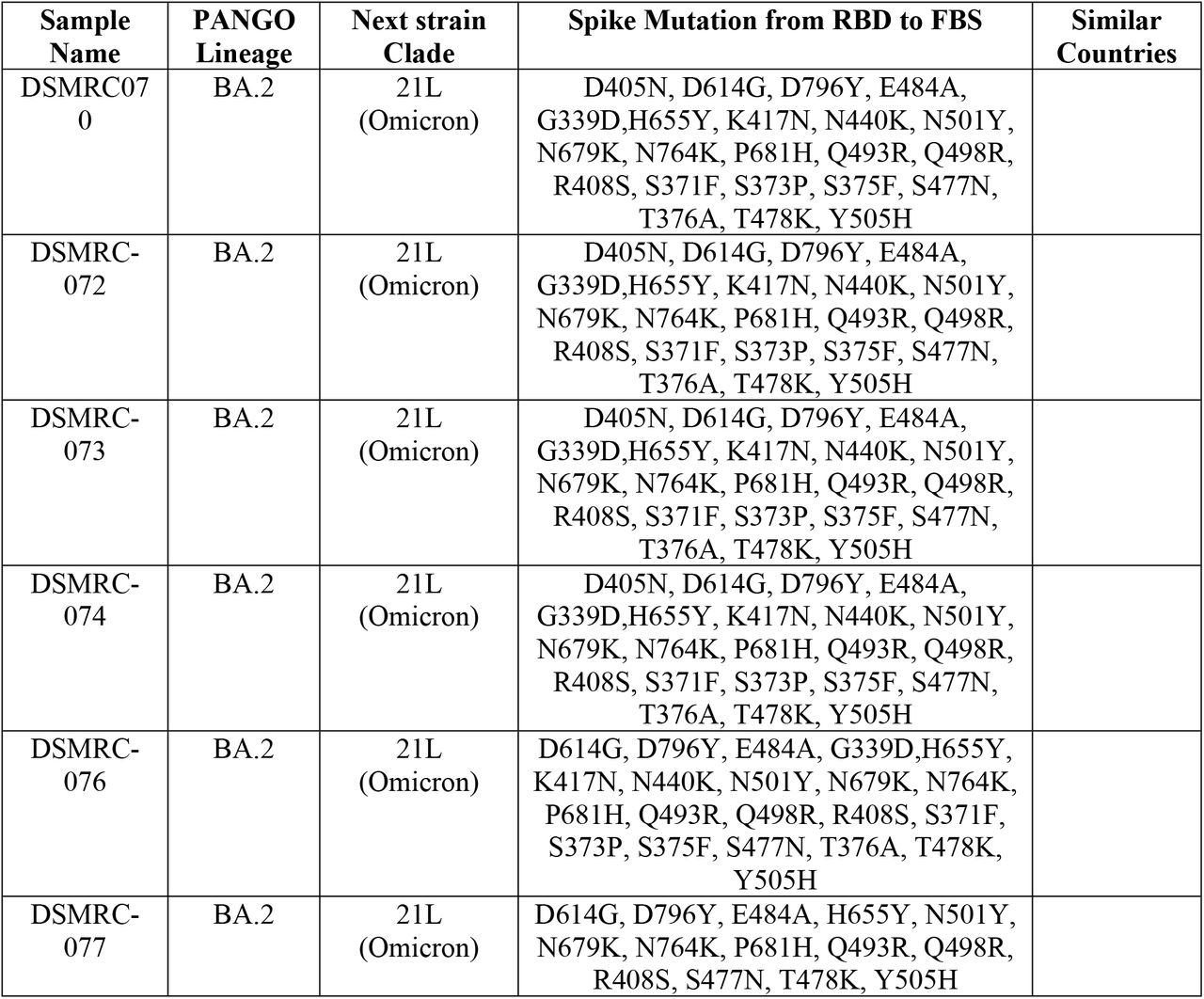 PANGO Lineage, Clade, Variant, Spike protein mutations of Sixth Run (During the last wave)
