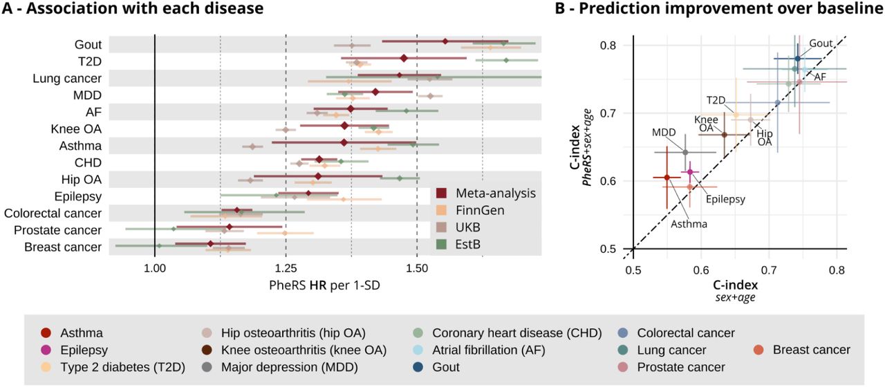 PheRS performance across studies.Panel A: Association between PheRS and disease onset during the prediction period independent of age and sex. The HRs and 95% CIs in each study – FinnGen: yellow, UKB: brown, EstB: green – and meta-analyzed results (red). The HRs are shown for an increase of the PheRS by 1 standard deviation (SD) after regressing out age and sex. Panel B: Increase in predictive accuracy when adding the PheRS to a baseline model with age and sex. The meta-analyzed c-indices and 95% CIs of the baseline model (x-axis) compared to a model with added PheRS (y-axis).
