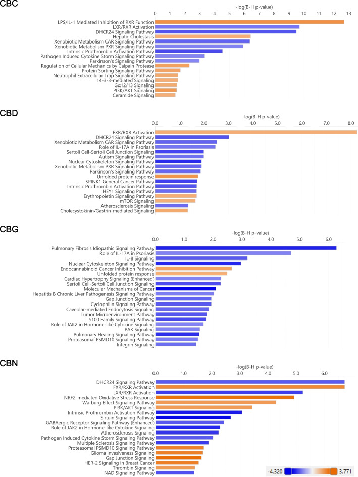 Canonical signaling pathways identified for CBC, CBD, CBG, and CBN using B-H adjusted p-value < 0.05 and |z|> 2.0. Each pathway is represented by a horizontal bar with the name shown on the left and length equivalent to -log(B-H p-value). The activation/inhibition state (z-score) of the pathway is indicated by the color of the bar with orange representing activation and blue inhibition. The color scale is shown at the bottom right corner
