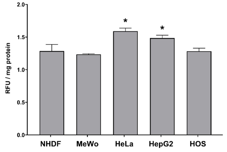 Intracellular H2O2 production in normal dermal fibroblasts (NHDF), malignant melanoma (MeWo), adenocarcinoma (HeLa), hepatocellular carcinoma (HepG2) and osteosarcoma (HOS) cells treated with cell line-specific IC50 doses of CBD-enriched hemp oil for 24 h. Control cells were incubated with complete cell culture medium. Experiments were done in triplicate, obtained data were expressed as relative fluorescence units (RFU)/mg protein, expressed as fold change of control values and represented as means ± standard error of the mean. * p < 0.05 vs. control cells (NHDF p = 0.058216, MeWo p = 0.160015, HeLa p = 0.011617, HepG2 p = 0.020345, HOS p = 0.055959).