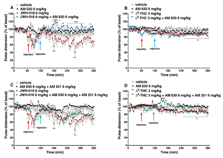 Interaction of JWH-018 (6 mg/kg i.p, panel (A)) and ∆9-THC (6 mg/kg i.p, panel (B)) with the selective CB2 receptor antagonist AM 630 (6 mg/kg, i.p.) on pulse distension. Interaction of JWH-018 (6 mg/kg i.p, panel (C)) and ∆9-THC (6 mg/kg i.p, panel (D)) with the administration of the mixture of selective CB1 (AM 251; 6 mg/kg, i.p.) and CB2 (AM 630; 6 mg/kg, i.p.) receptor antagonists on pulse distension. Data are expressed as percentage of basal values in the form MEAN ± SEM of 8 different evaluations for each group. Statistical analysis was performed by two-way ANOVA, followed by Bonferroni’s test for multiple comparisons ** p < 0.01 *** p < 0.001 versus vehicle and ++ p < 0.01, +++ p < 0.001 versus AM 630 + agonists or AM 630 and AM 251 + agonists.
