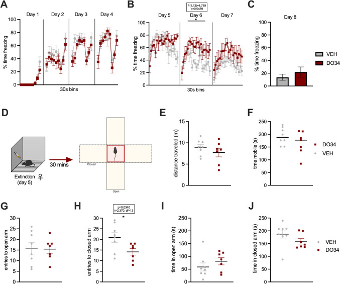 Pharmacological inhibition of DAGL during extinction does not promote anxiety-like behavior in the EPM in female mice. (A) Percentage of time spent freezing during acquisition of contextual fear. (B) Percentage of time spent freezing during extinction when DO34 (50 mg/kg) was injected IP 2 h before each session. (C) Percentage of time spent freezing during retrieval test. (D) Schematic diagram of behavioral testing for the EPM 30 min after the first extinction session. (E) Distance traveled in the whole apparatus. (F) Total immobility time. (G) Entries and (H) time spent in open arms of the maze. (I) Entries and (K) time spent in closed arms of the maze. All values are presented as mean ± SEM (n= 7–8 female mice per condition)