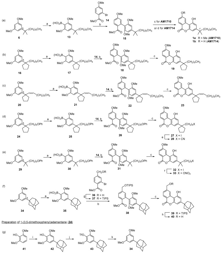 Synthesis of AM1710, AM1714, and C3 side chain modified cannabilactones (a–g) a. a Reagents and conditions: (a) i. n-BuLi, THF, −78 °C, 45 min, 10 °C, 1.5 h, −78 °C 30 min; ii. B(OMe)3, −78 °C to rt, overnight; iii. 5% aq. HCl, 88% for 13, 65% for 17, 80% for 21, 73% for 25, 61% for 30, and 61% for 35; (b) Cs2CO3, DME/H2O, Pd(Ph3P)4, 110 °C, microwave irradiation, 45 min, 84% for 15, 69% for 18, 81% for 22, 76% for 26, 84% for 31, and 83% for 38; (c) 9-iodo-9-BBN, CH2Cl2, 0 °C to rt, overnight, 78% for AM1710, 75% for 19, 70% for 23, 67% for 27, 68% for 32, and 73% for 39; (d) BBr3, CH2Cl2, 2 days, reflux, 74% for AM1714; (e) NaCN, DMSO, rt, overnight, 90%; (f) AgNO3, CH3CN, rt, 5 h, 91%; (g) TIPSOTf, 2,6-lutidine, DCM, 0 °C to rt, 2 h, 89% (h) TBAF, THF, rt, 2 h, 90%; (i) 1-adamantanol, MeSO3H, 50 °C, 3 h, 58%; (j) Tf2NPh, Et3N, 4-(dimethylamino)pyridine (DMAP), CH2Cl2, reflux, 18 h, 95%; (k) PdCl2(Ph3P)2, dppp, n-Bu3N, HCOOH, polymethylhydrosiloxan (PMHS), DMF, reflux, 19 h, 92%.