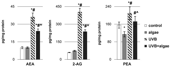The impact of Nannochloropsis oceanica microalgae extract on the levels of endocannabinoids, including anandamide (AEA), 2-arachidonoylglycerol (2-AG), and the related compound palmitoylethanolamide (PEA), in various keratinocyte groups: control (n = 5); cultured with algae extract for 24 h (n = 5); irradiated with UVB (60 mJ/cm2) (n = 5); and irradiated with UVB (60 mJ/cm2) and subsequently cultured with algae extract for 24 h (n = 5). Mean values ± standard deviation (SD) and statistically significant differences for p < 0.05 are indicated as follows: *—vs. control group; #—vs. algae group; and ^—vs. UVB group.