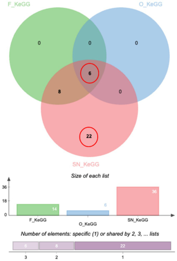 Venn diagram with three colored circles labeled F_KeGG, O_KeGG, and SN_KeGG shows overlaps and unique elements, highlighting 6 shared by all three and 22 unique to SN_KeGG. Bar chart below displays set sizes: F_KeGG with 14, O_KeGG with 6, SN_KeGG with 36. A horizontal legend details element counts for shared and unique categories.