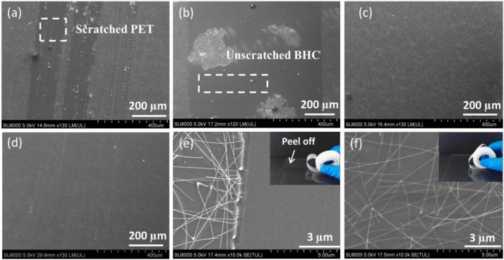 SEM images of (a) the bare AgNW TCF, (b) the BHC/AgNW TCF and (c) the BHC/AgNW/THC TCF after scratching with a 3H pencil. (d) SEM image of the BHC/AgNW/THC TCF after scratching with a 4H pencil. SEM images of (e) the bare AgNW TCF after the 3M taping test once, and (f) BHC/AgNW/THC TCF after the 3M taping test 50 times.