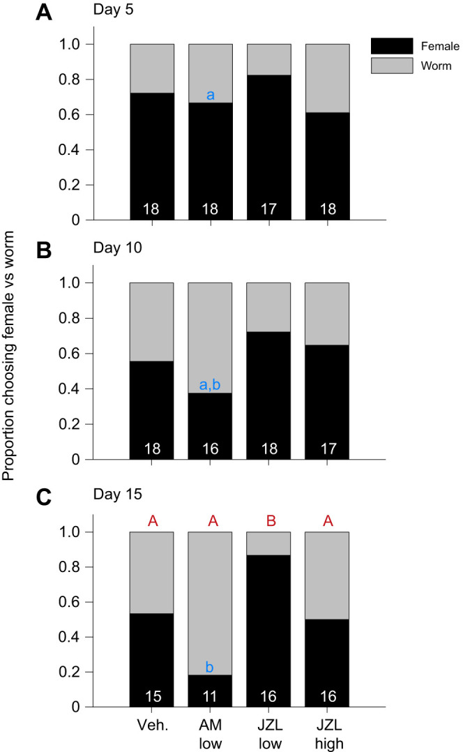 Increasing endogenous 2-AG with JZL184 extends sex-motivated behavior, while blocking endocannabinoid signaling with AM251 advances the transition to food-motivated behavior in red-sided garter snakes. (A–C) Changes in the proportion of snakes choosing female (black) or worm (gray) trails on the Y-maze on days 5, 10 and 15 respectively, among treatment groups: vehicle (Veh.); CB1 receptor antagonist AM251 (AM low; ∼0.5 mg kg−1); 2-AG's degradation enzyme inhibitor JZL184 (JZL low or JZL high; ∼1.6 or 16 mg kg−1). Significant differences among treatment groups within day 15 (uppercase letters indicate P≤0.046) and across time within AM251 treatment only (lowercase letters indicate P=0.011), from a chi-squared test followed by z-tests for comparisons between treatments. Numbers along the x-axes indicate n values for each group.
